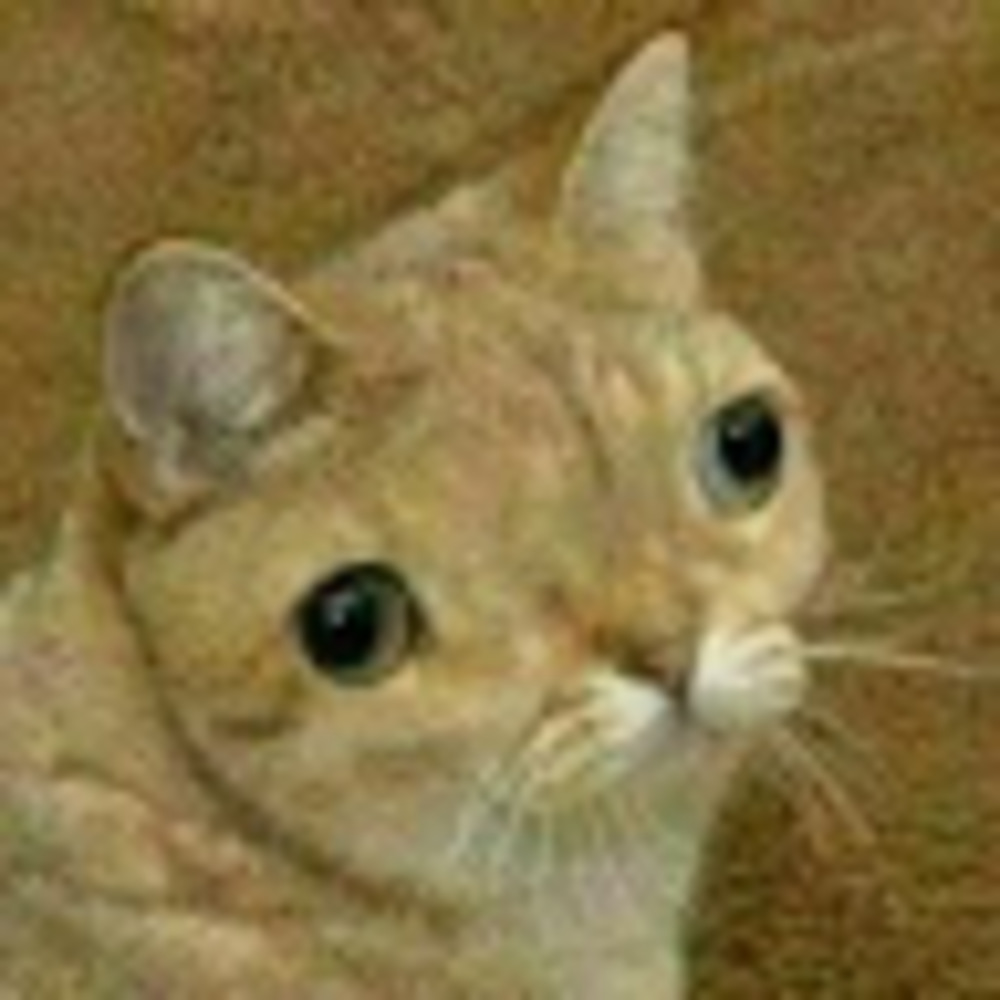 Meet your Posher, Mouse